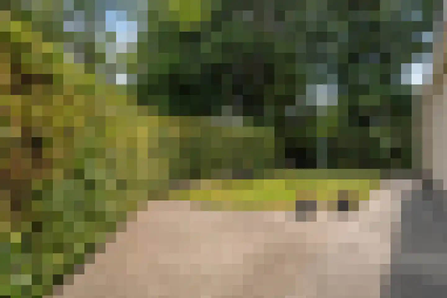 Eikepage 7 Meppel thumbnail 12