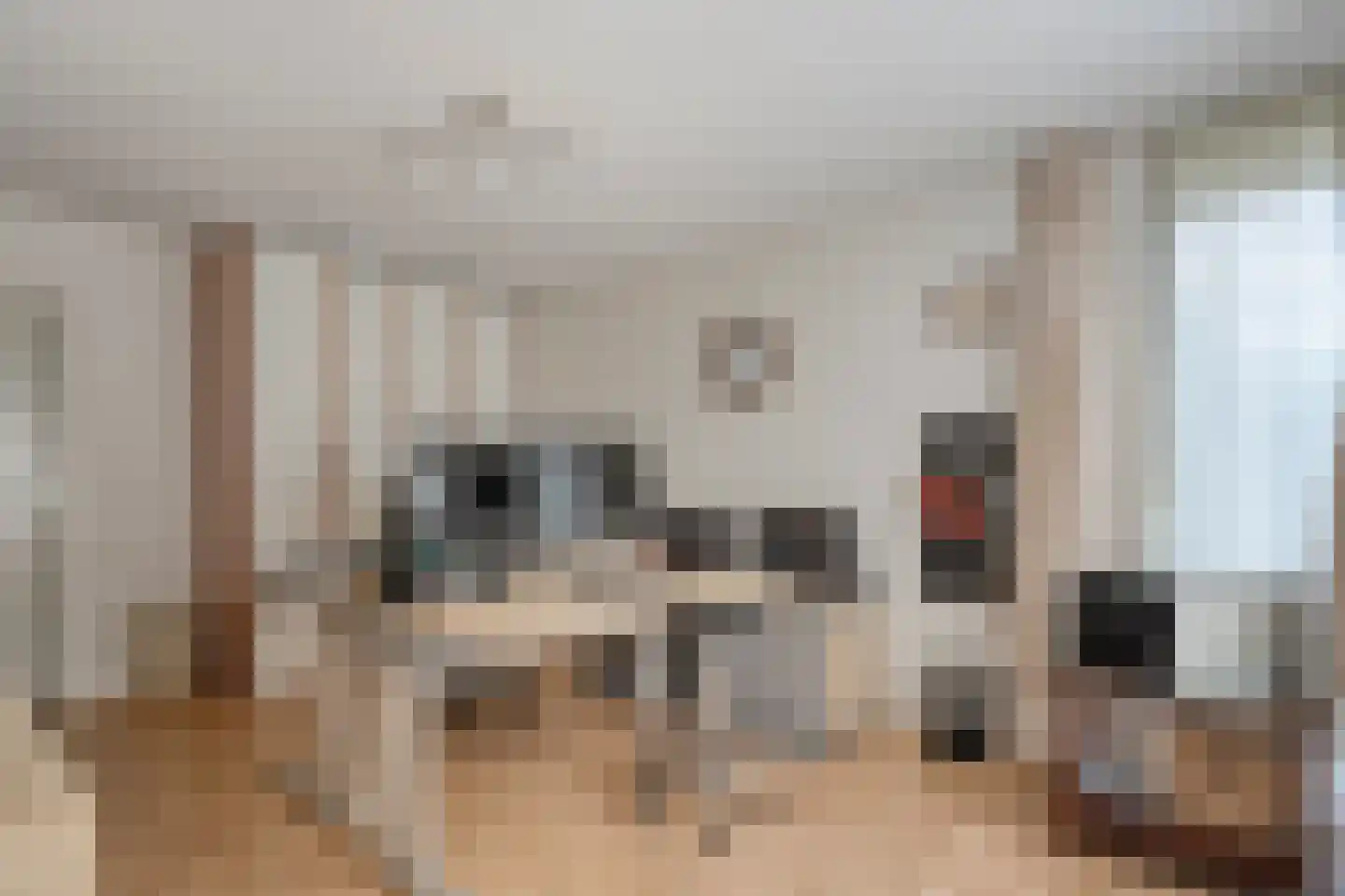 Eikepage 7 Meppel thumbnail 33