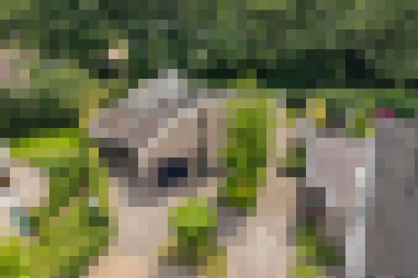 Eikepage 7 Meppel thumbnail 7