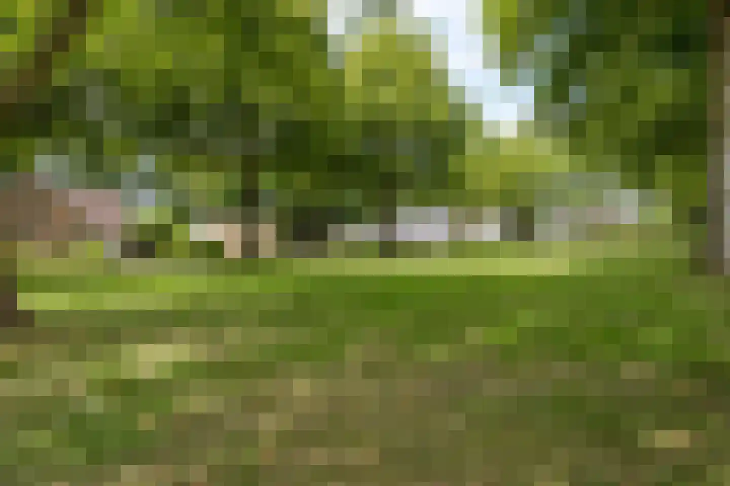 Eikepage 7 Meppel thumbnail 9