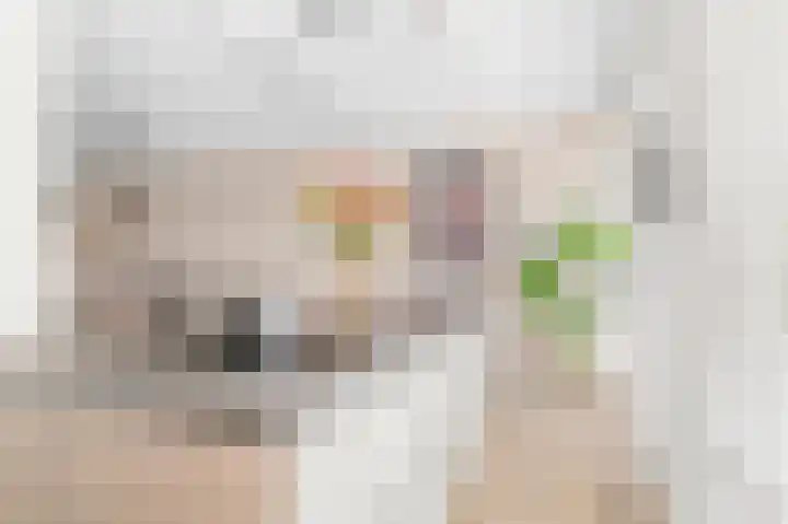 Eikepagelaan 204 Apeldoorn thumbnail 11