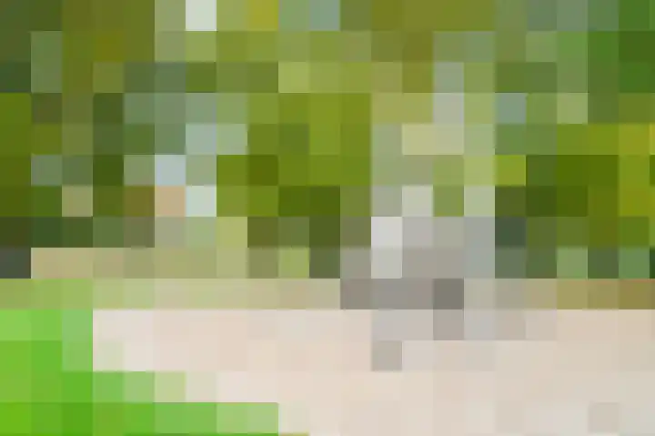 Eikepagelaan 204 Apeldoorn thumbnail 42
