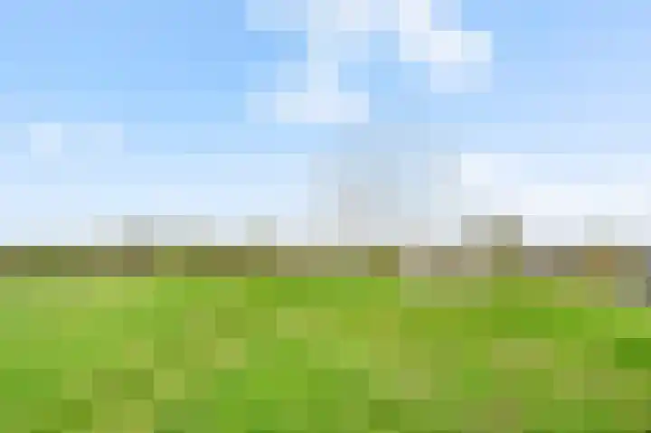Eikepagelaan 204 Apeldoorn thumbnail 43