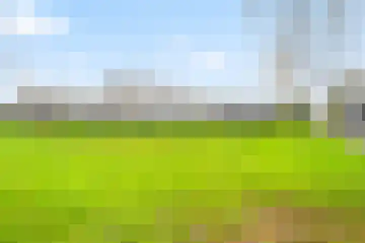 Eikepagelaan 204 Apeldoorn thumbnail 44