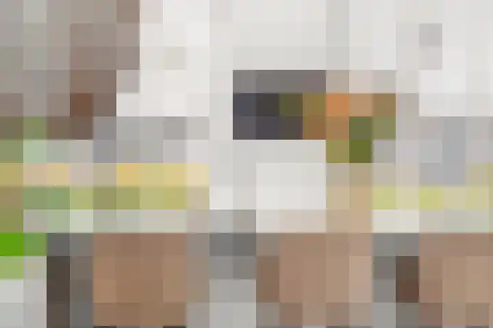 Eikepagelaan 204 Apeldoorn thumbnail 7
