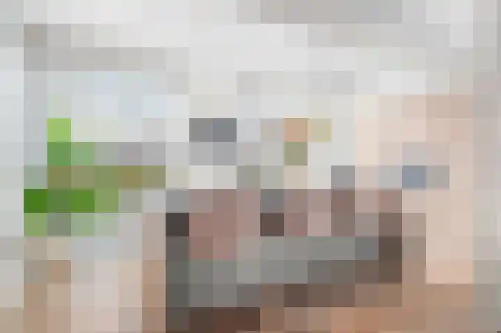 Eikepagelaan 204 Apeldoorn thumbnail 8