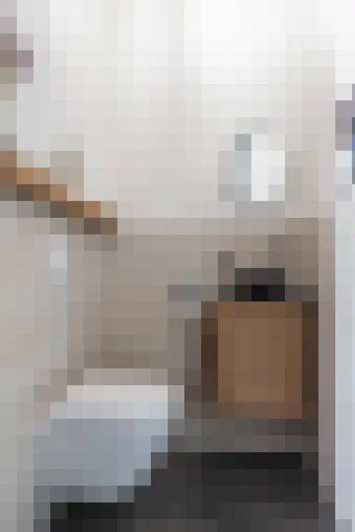 Eikepagelaan 206 Apeldoorn thumbnail 17