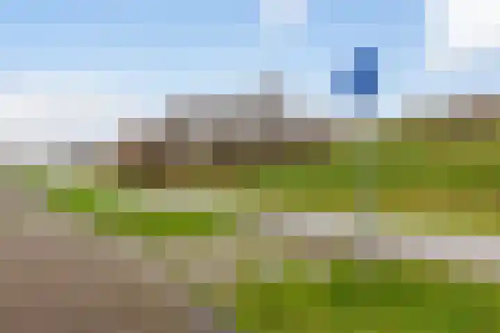 Eikepagelaan 206 Apeldoorn thumbnail 42