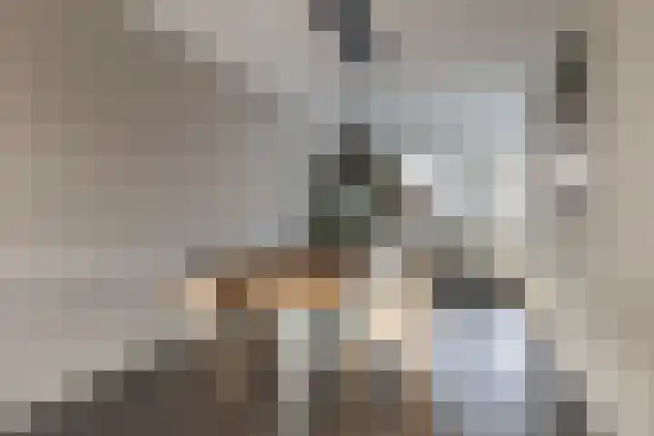 Eikepagelaan 32 Apeldoorn thumbnail 12