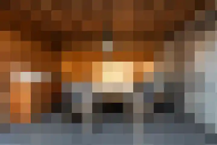Eikepagelaan 32 Apeldoorn thumbnail 33