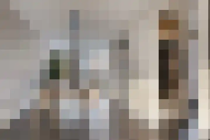 Eikepagelaan 32 Apeldoorn thumbnail 8