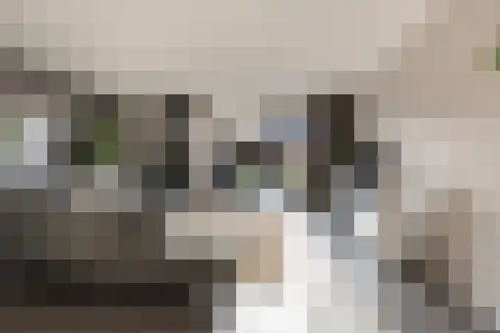 Eikepagelaan 32 Apeldoorn thumbnail 9