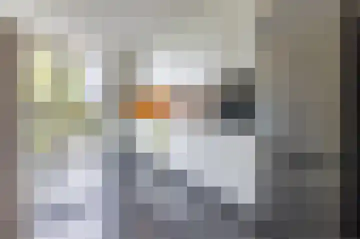 Eikepagelaan 68 Apeldoorn thumbnail 10