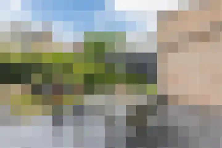 Eikepagelaan 68 Apeldoorn thumbnail 44