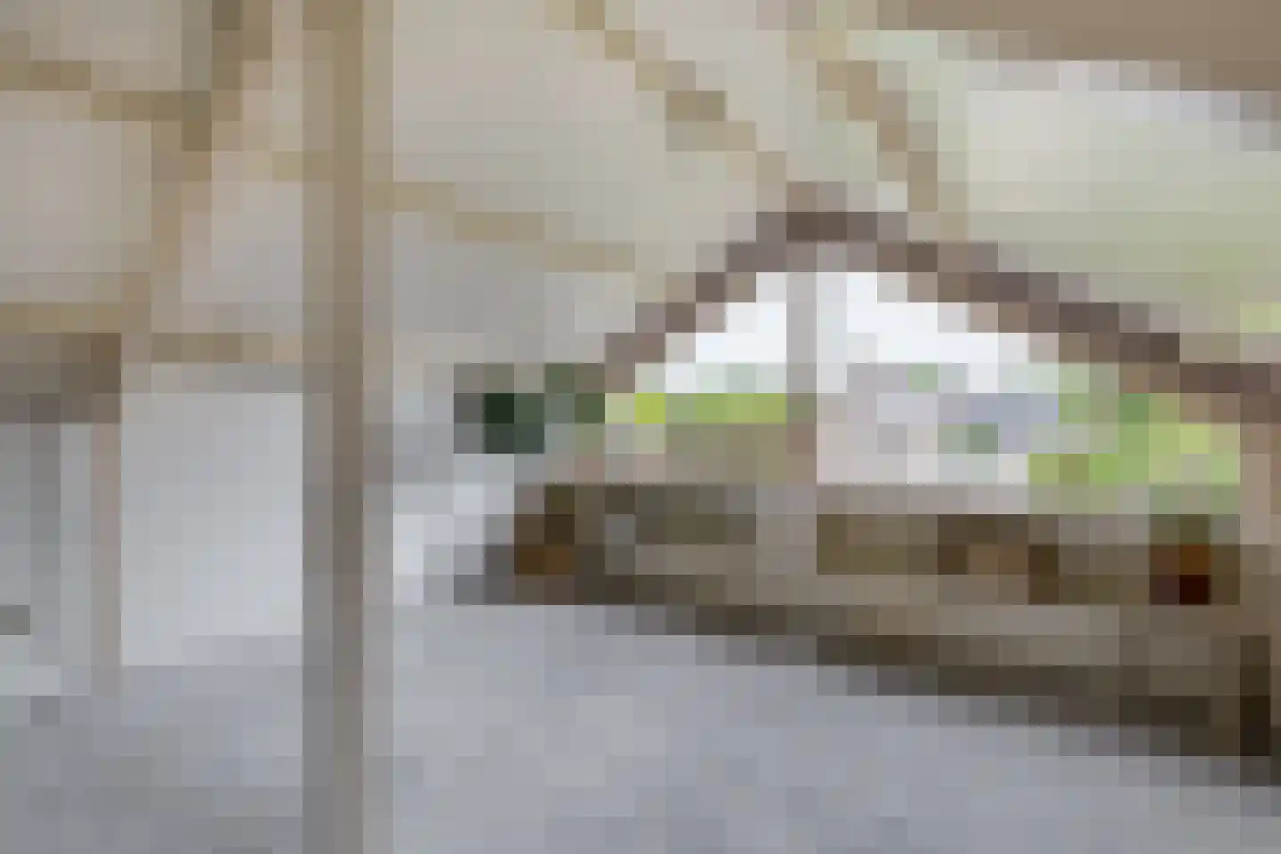 Eikesingel 16 Drachten thumbnail 31