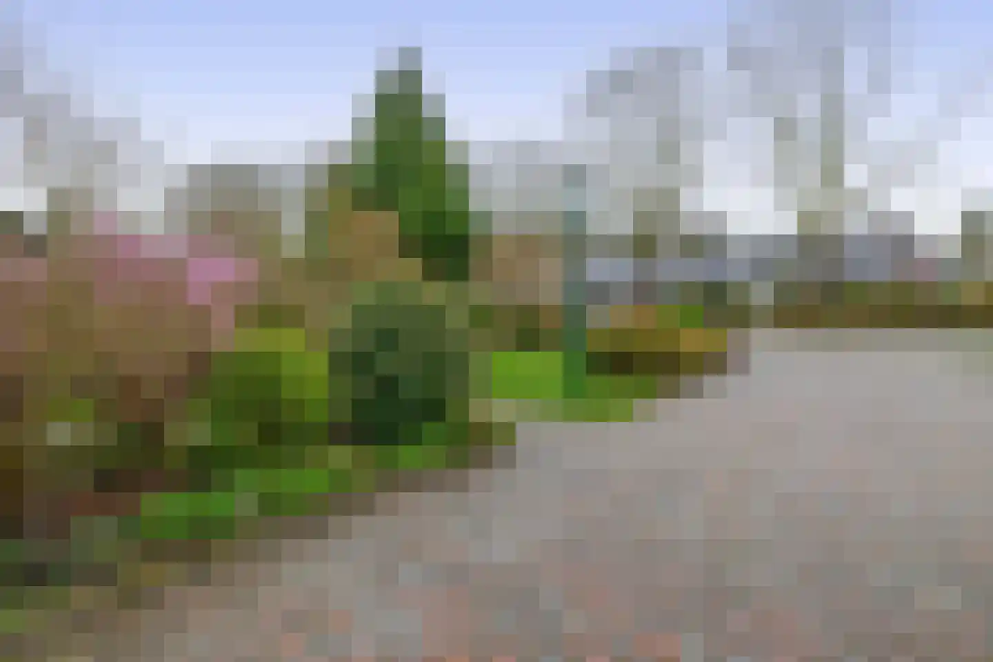 Eikesingel 16 Drachten thumbnail 31
