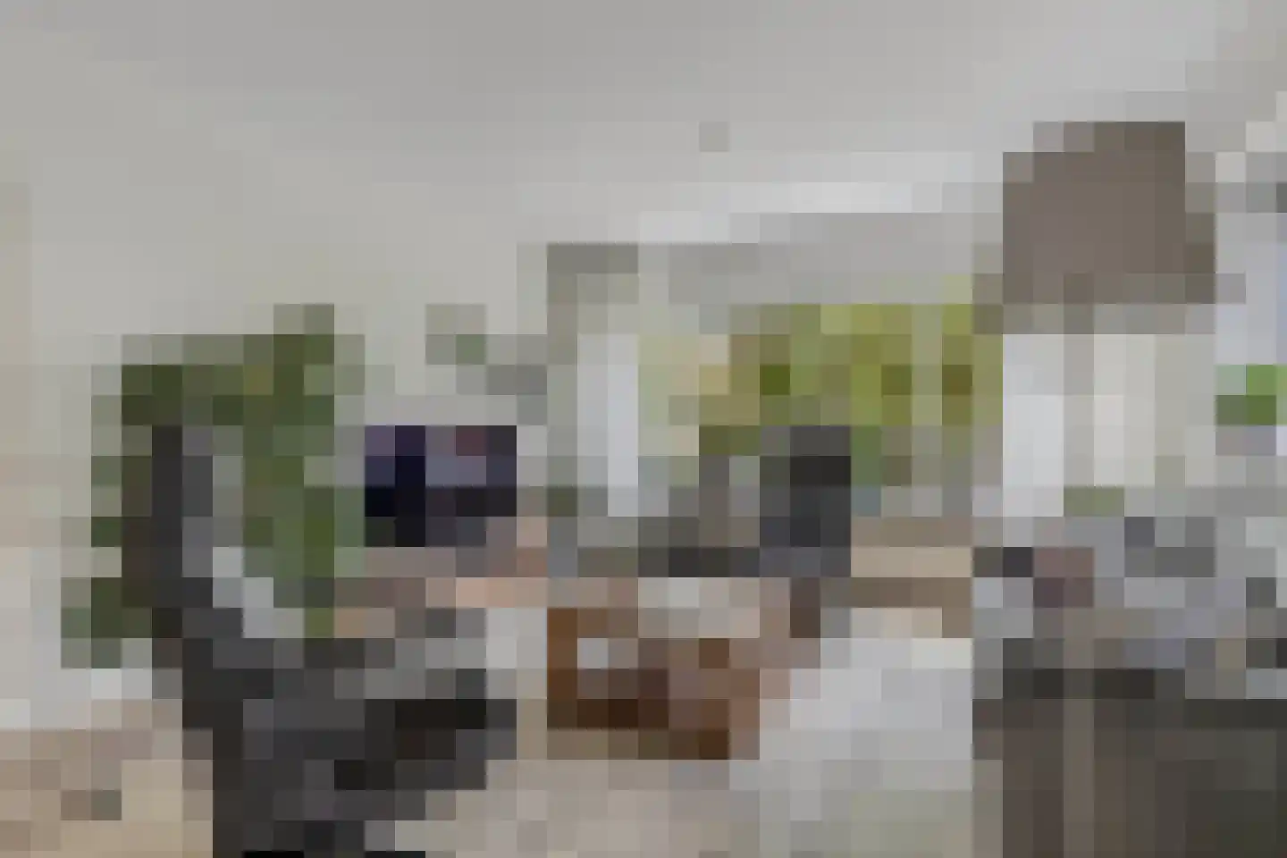 Eikesingel 60 Drachten thumbnail 18