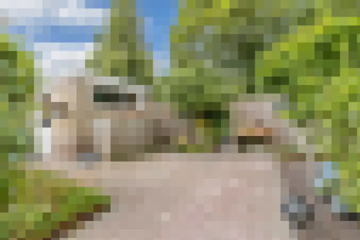 Eikesingel 60 Drachten thumbnail 58