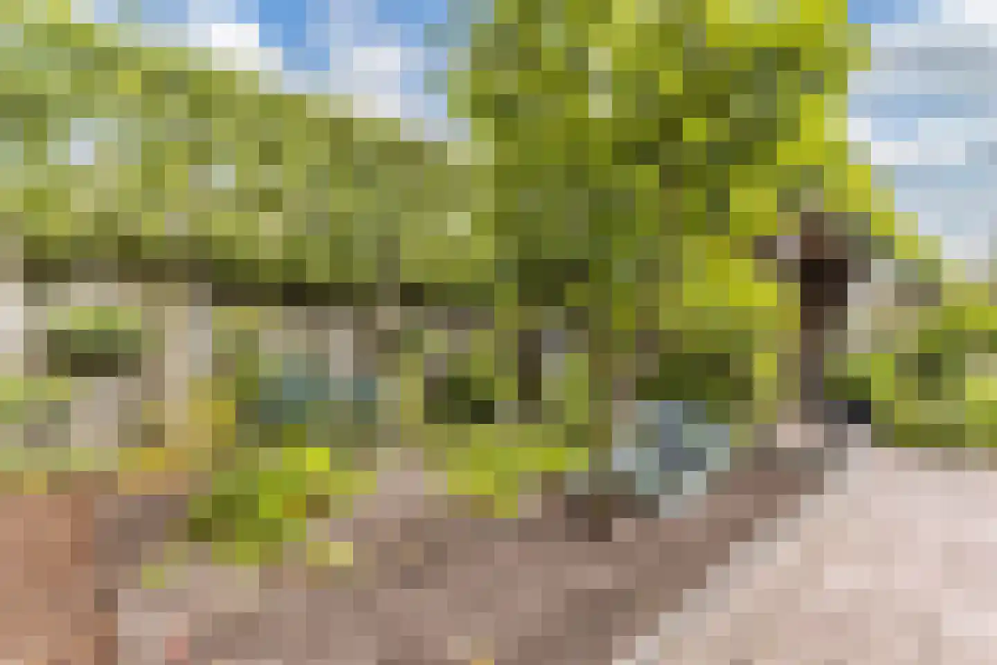 Eikesingel 60 Drachten thumbnail 59