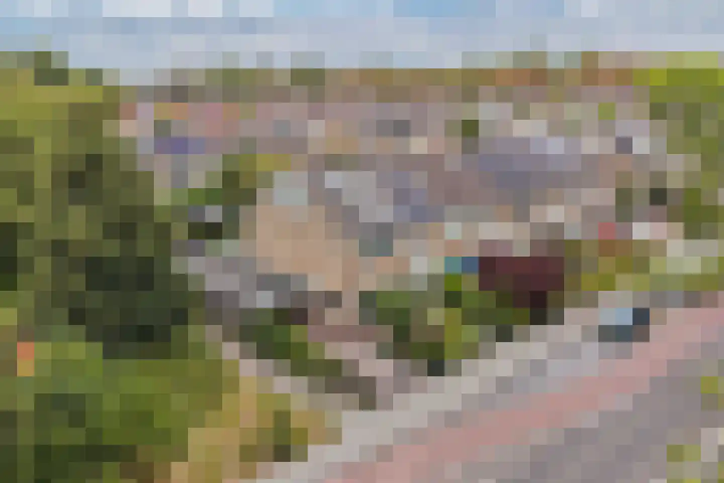Eikesingel 60 Drachten thumbnail 65