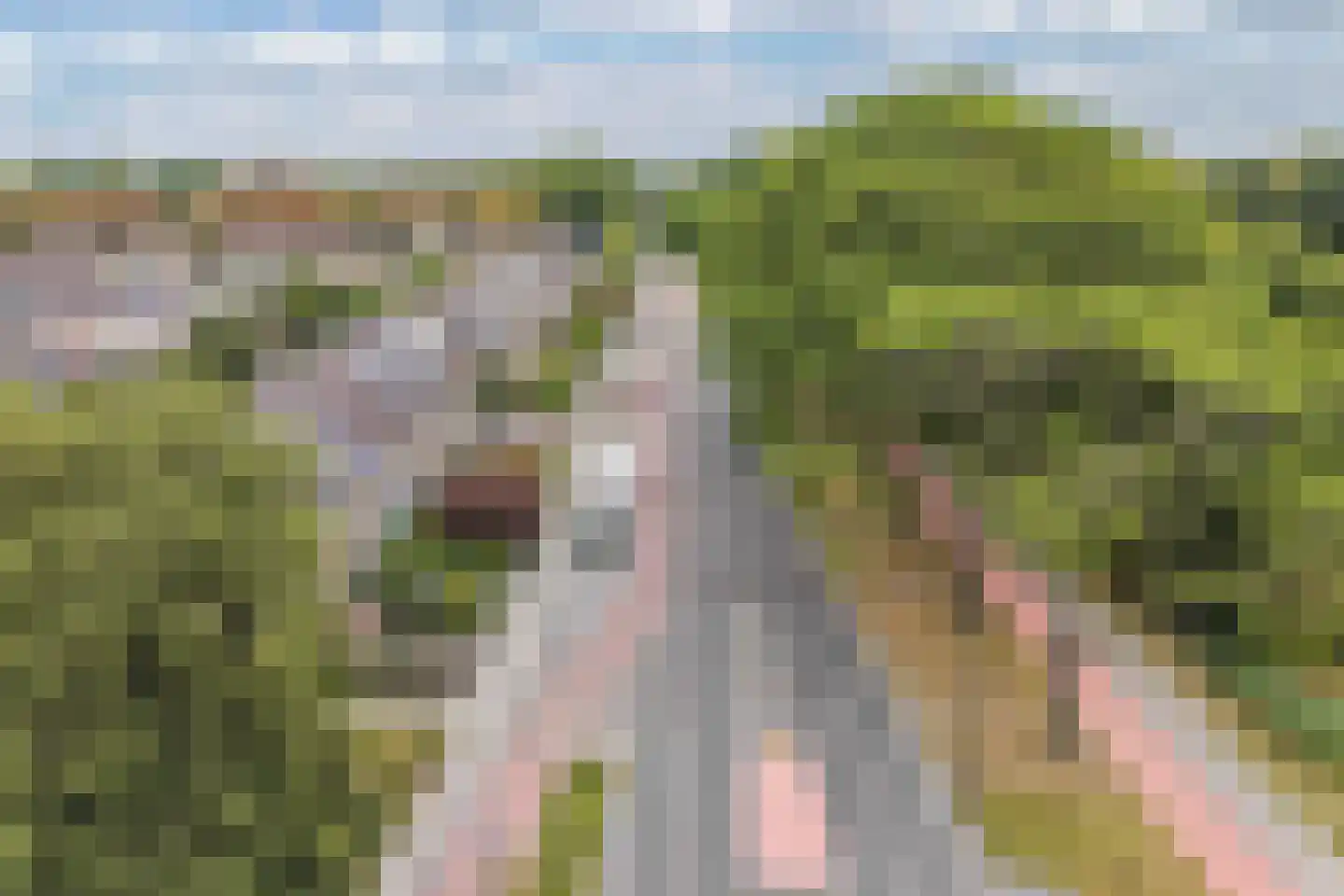 Eikesingel 60 Drachten thumbnail 66