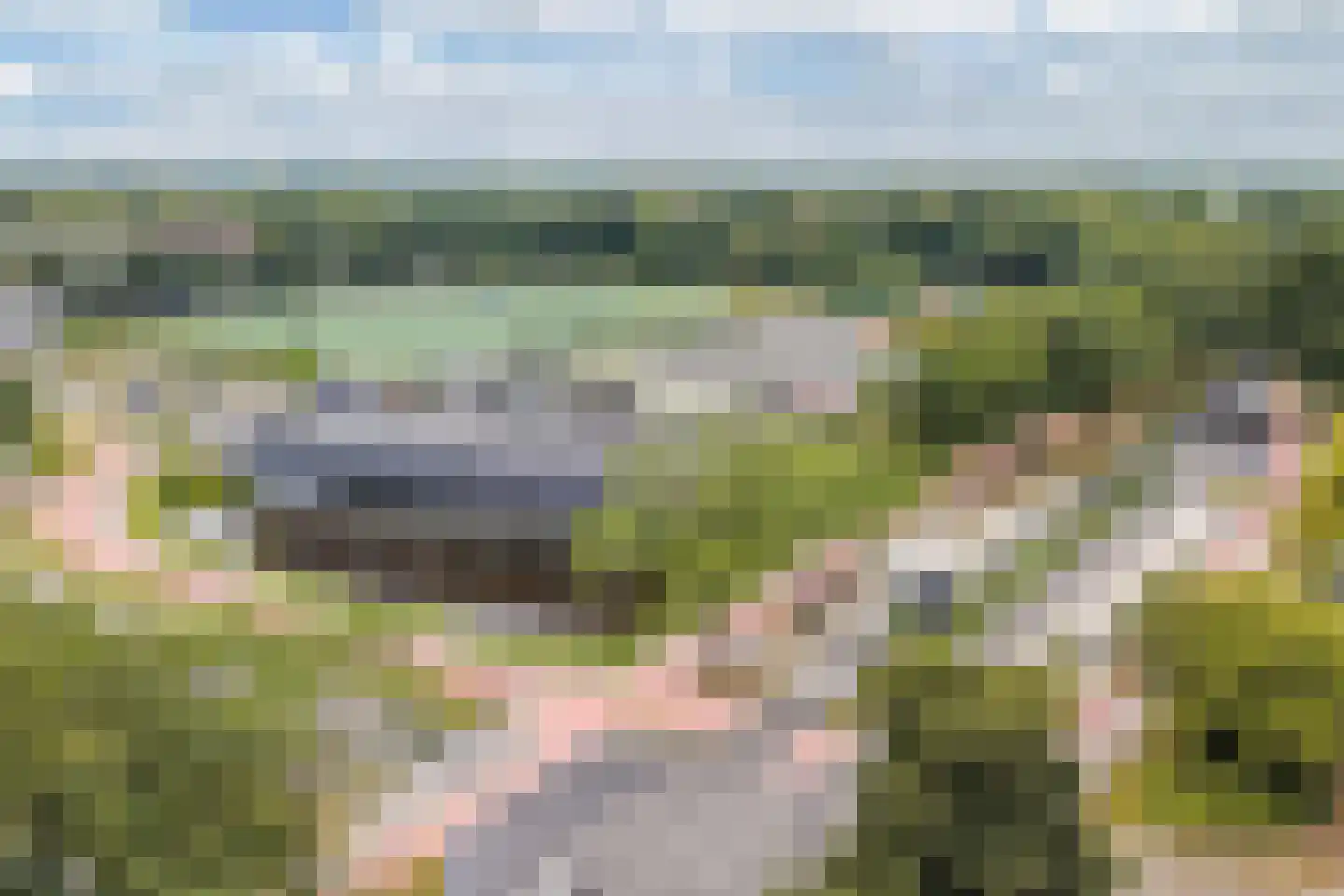 Eikesingel 60 Drachten thumbnail 69