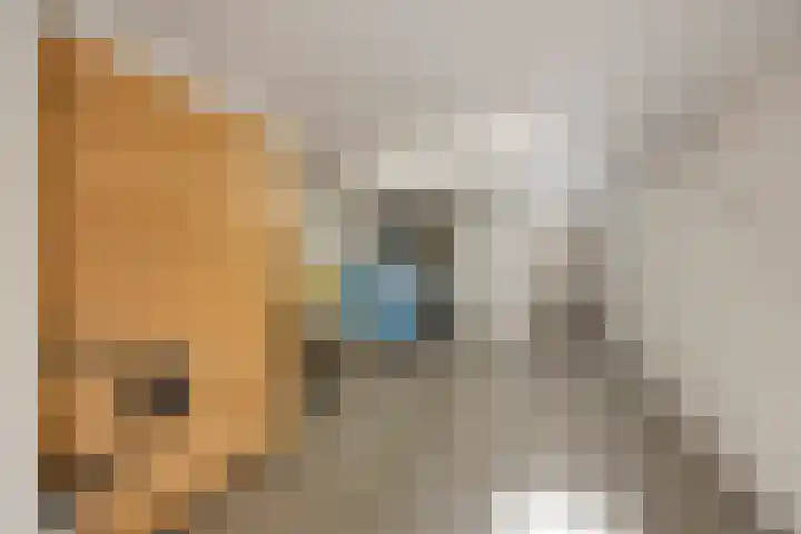 Eikesstraat 13 Hunsel thumbnail 31
