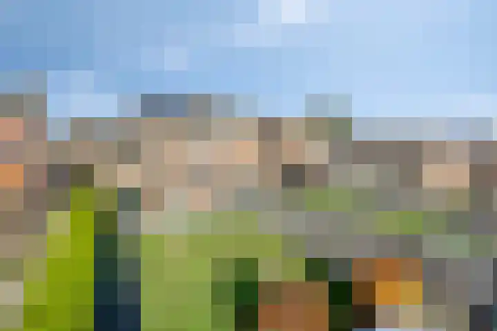 Eikesstraat 13 Hunsel thumbnail 33