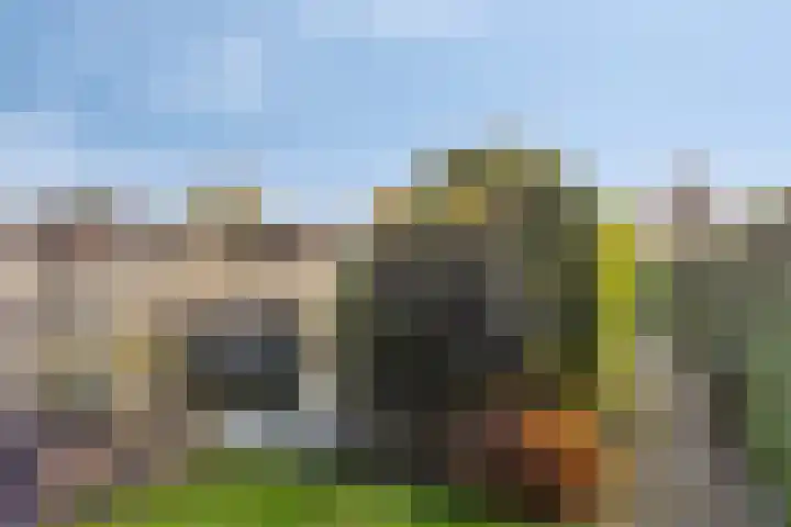 Eikesstraat 13 Hunsel thumbnail 40