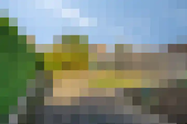 Eikesstraat 13 Hunsel thumbnail 41