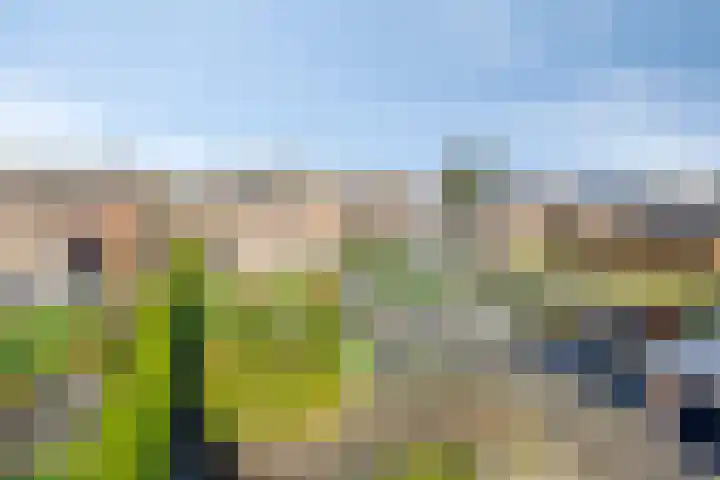 Eikesstraat 13 Hunsel thumbnail 43