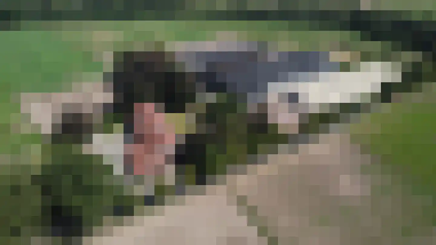 Eikesstraat 43 Hunsel