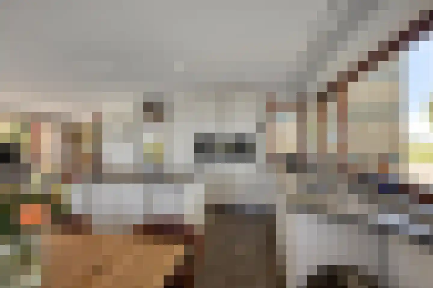 Eikklop 1 Oldemarkt thumbnail 16