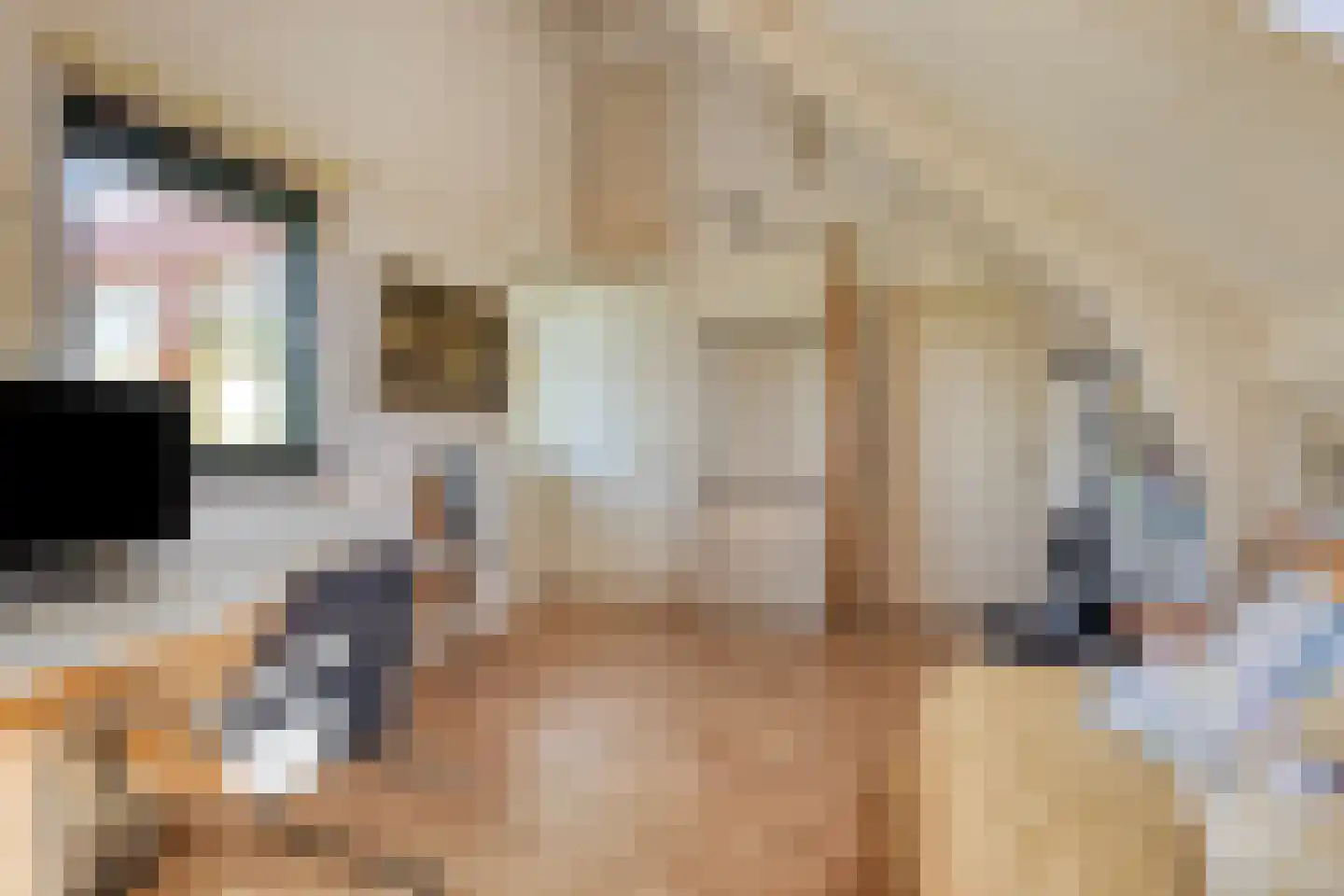 Eikklop 1 Oldemarkt thumbnail 28