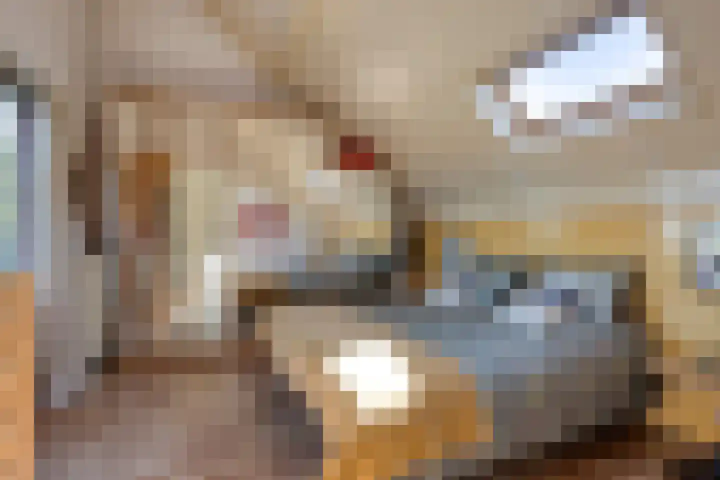 Eikklop 1 Oldemarkt thumbnail 29