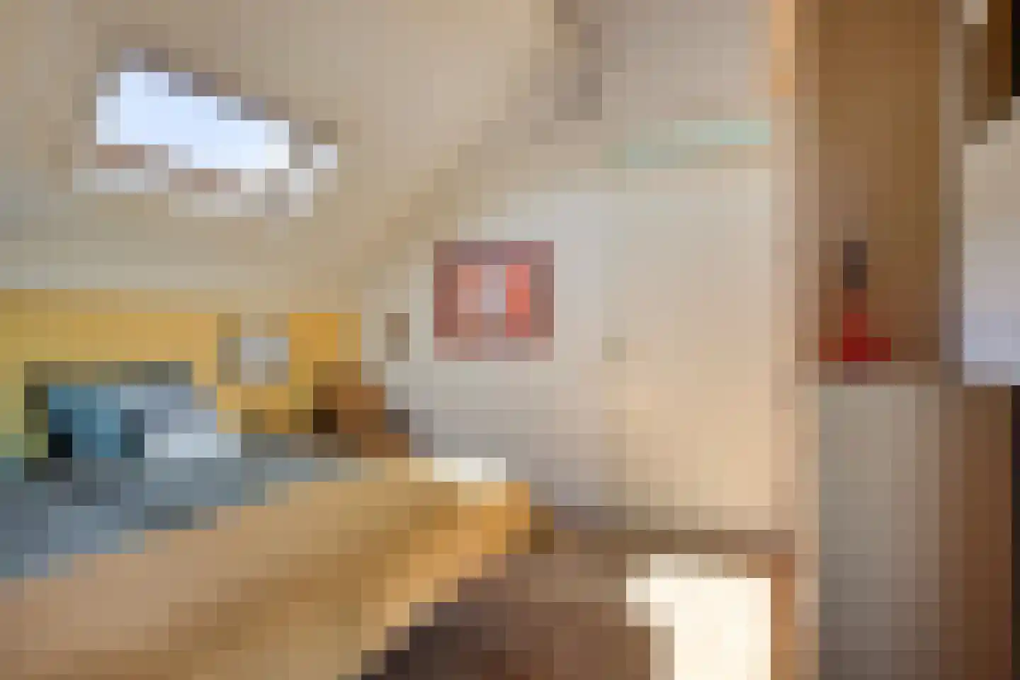 Eikklop 1 Oldemarkt thumbnail 30