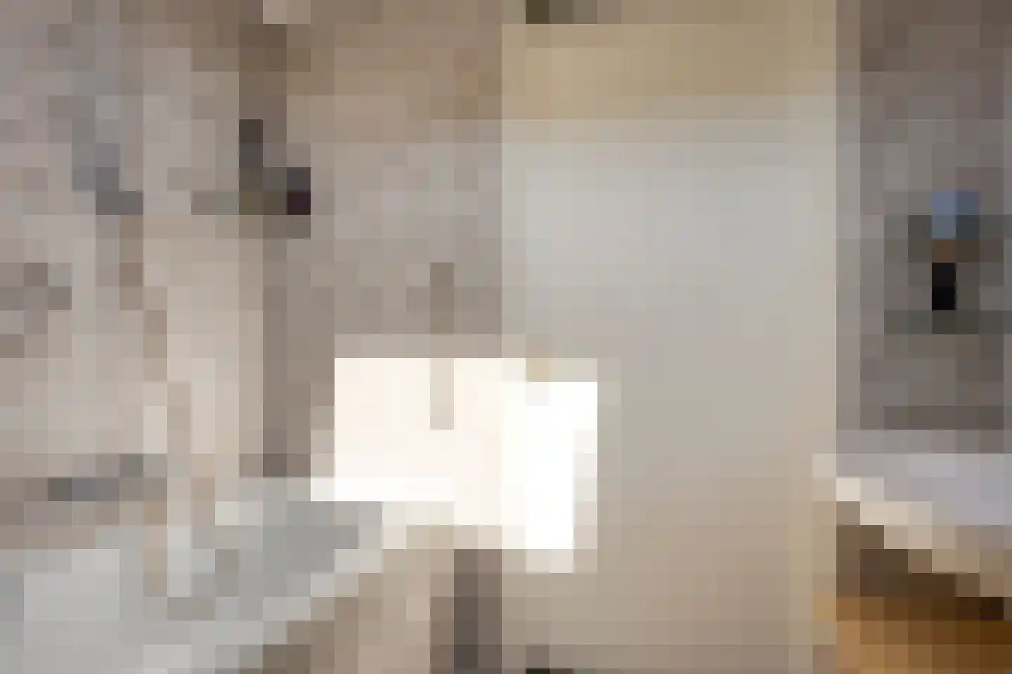 Eikklop 1 Oldemarkt thumbnail 33
