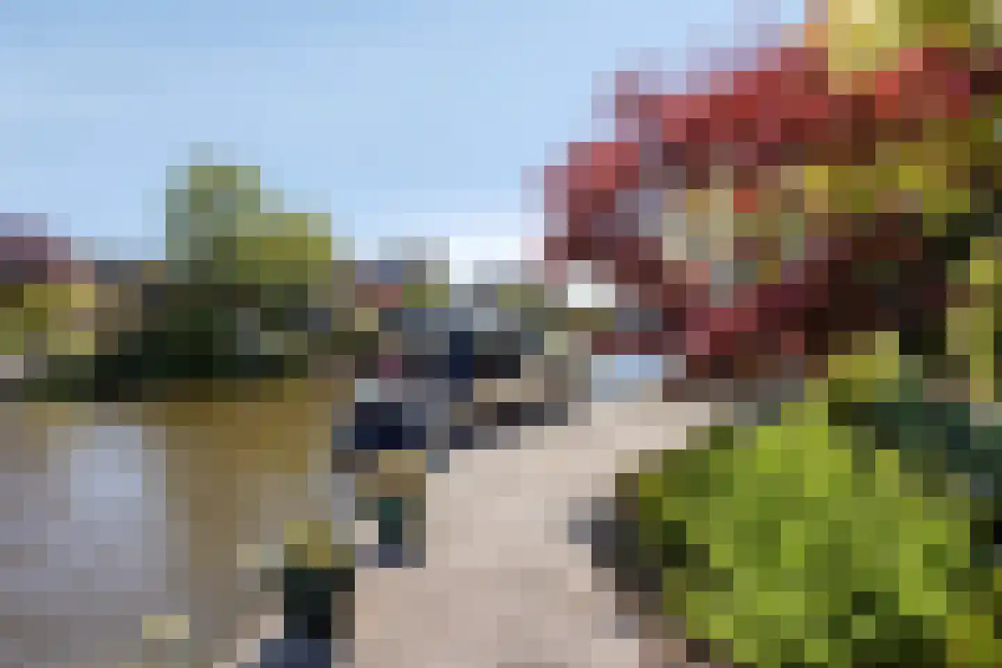 Eikklop 1 Oldemarkt thumbnail 47
