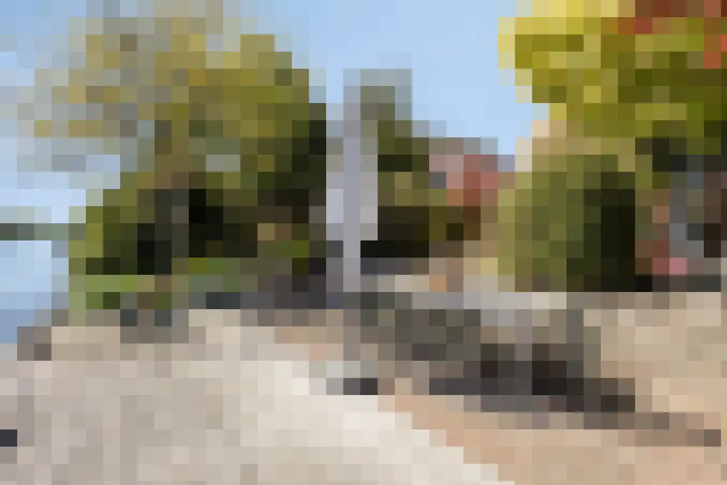Eikklop 1 Oldemarkt thumbnail 51
