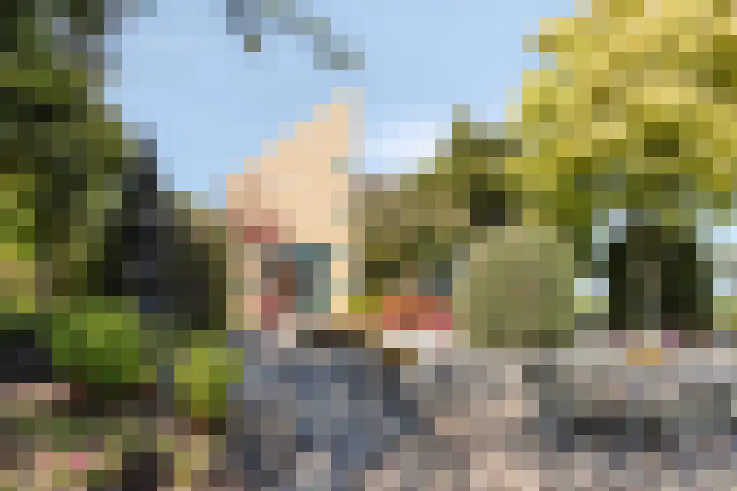 Eikklop 1 Oldemarkt thumbnail 52