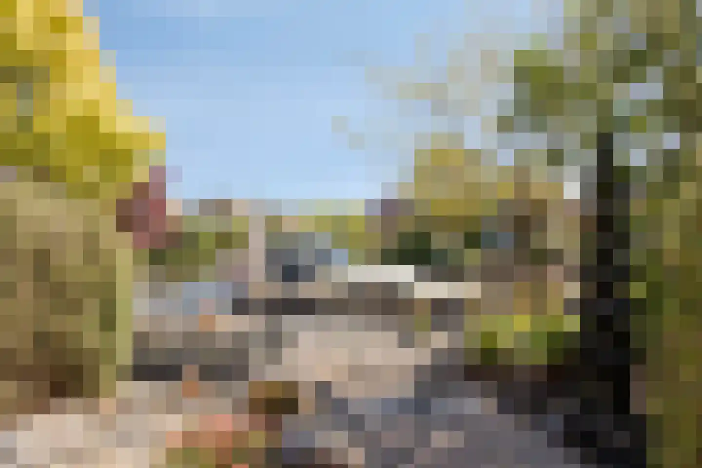 Eikklop 1 Oldemarkt thumbnail 53