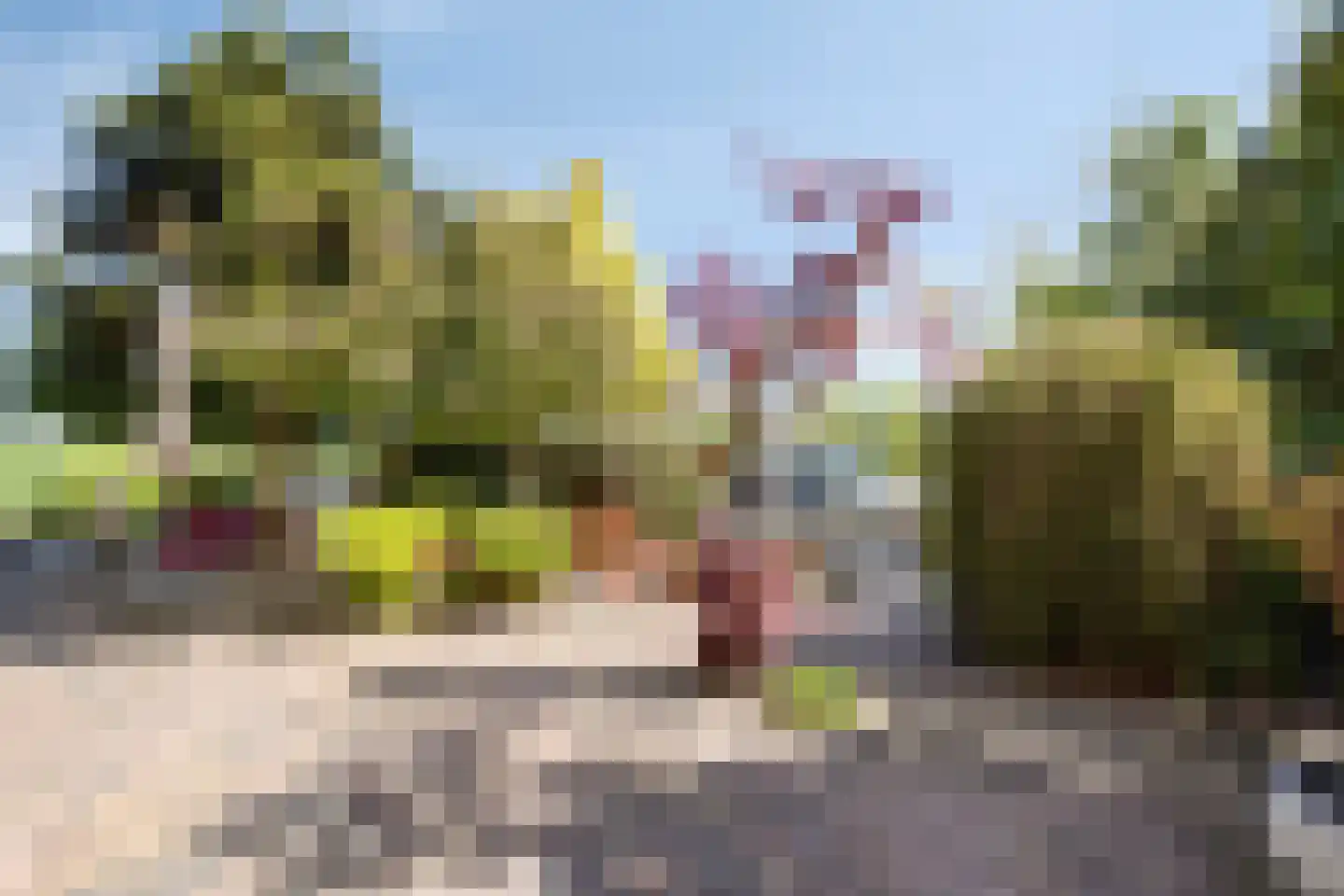 Eikklop 1 Oldemarkt thumbnail 54