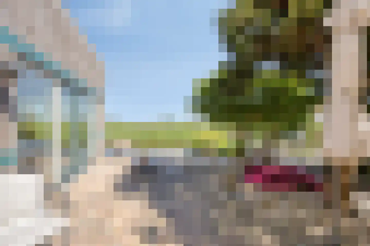 Eikklop 1 Oldemarkt thumbnail 55