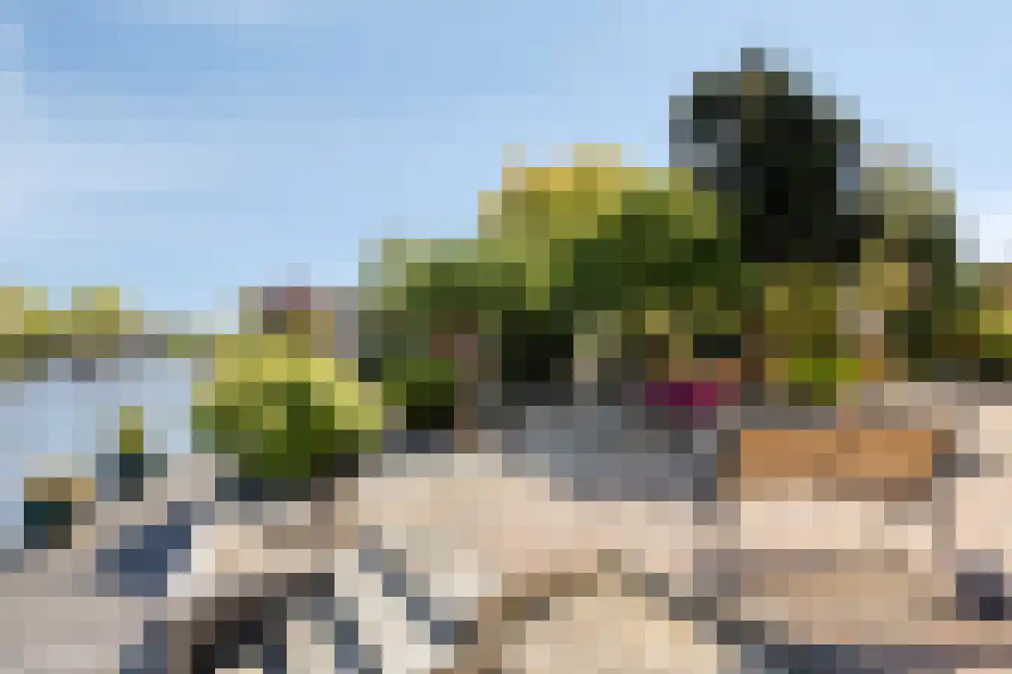 Eikklop 1 Oldemarkt thumbnail 58