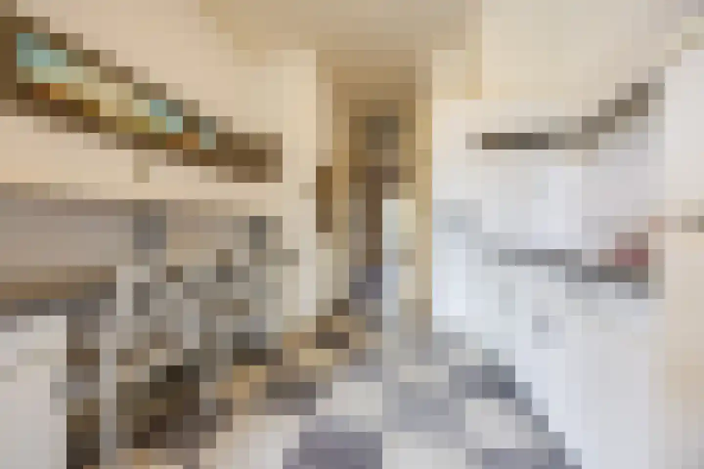 Eiklaan 3 Rijswijk thumbnail 15