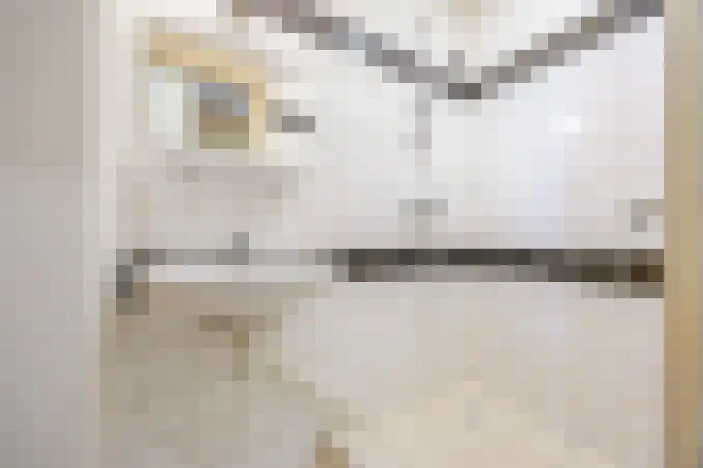 Eiklaan 3 Rijswijk thumbnail 26