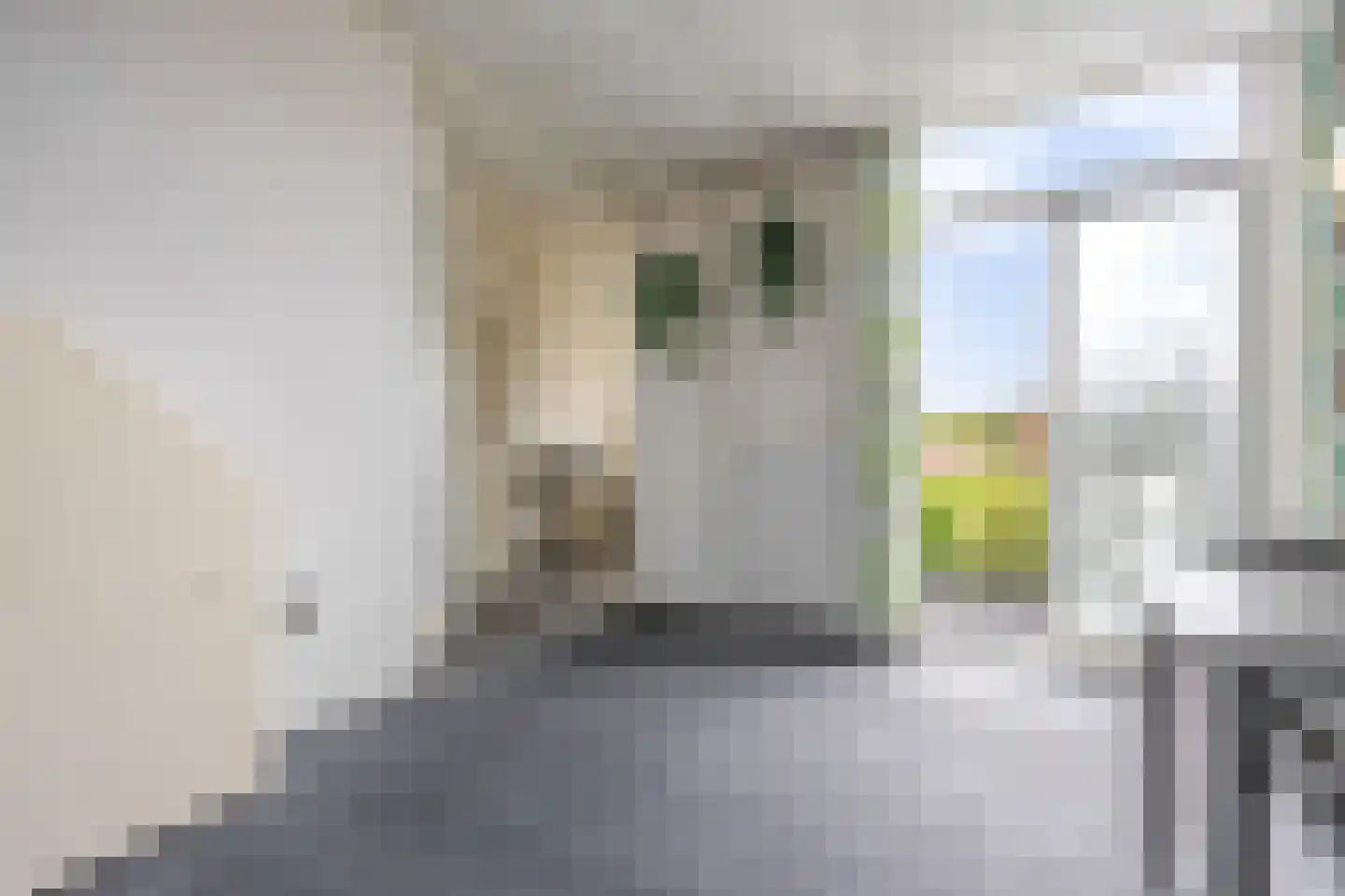 Eiklaan 3 Rijswijk thumbnail 50