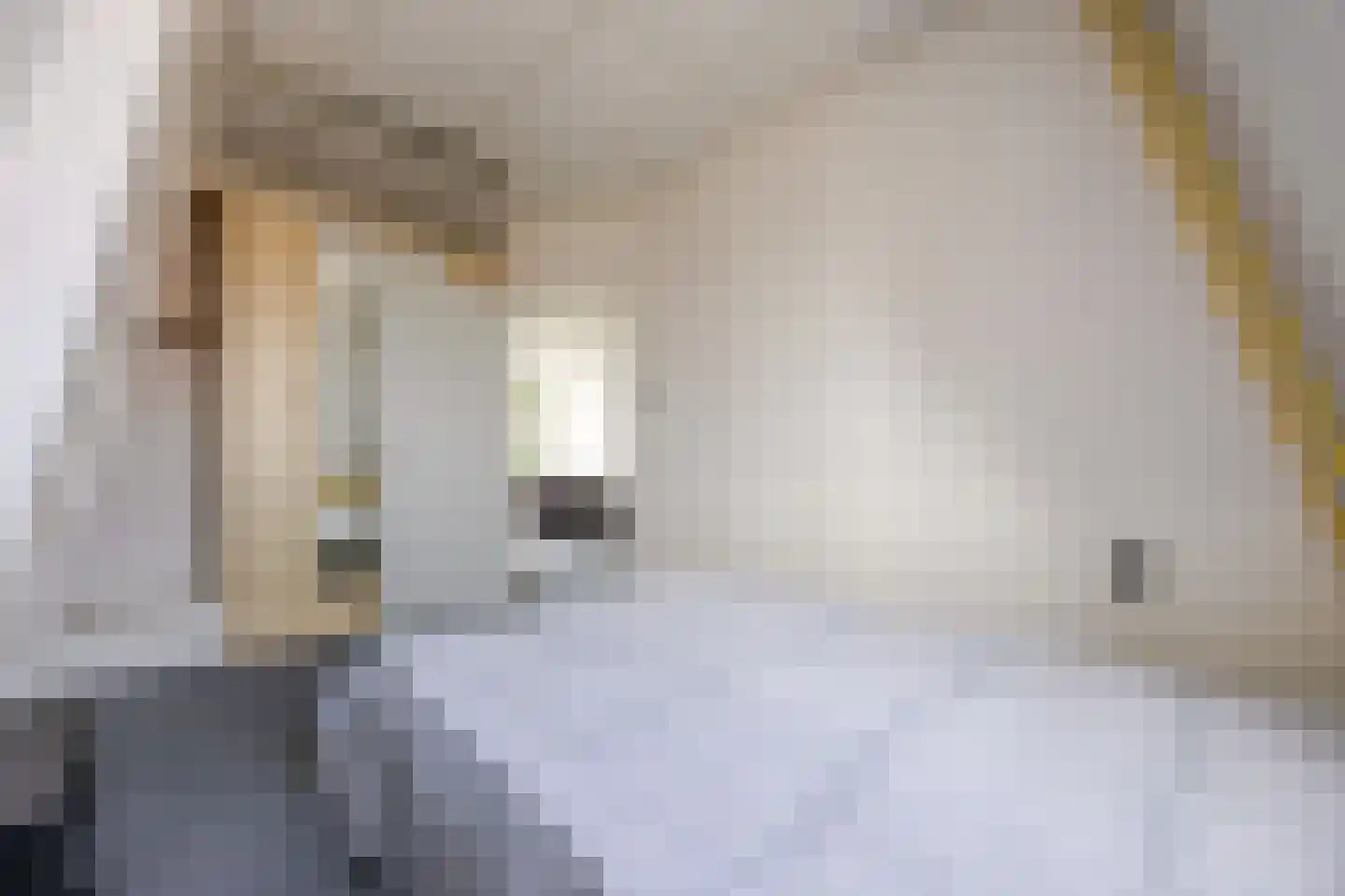 Eiklaan 3 Rijswijk thumbnail 58