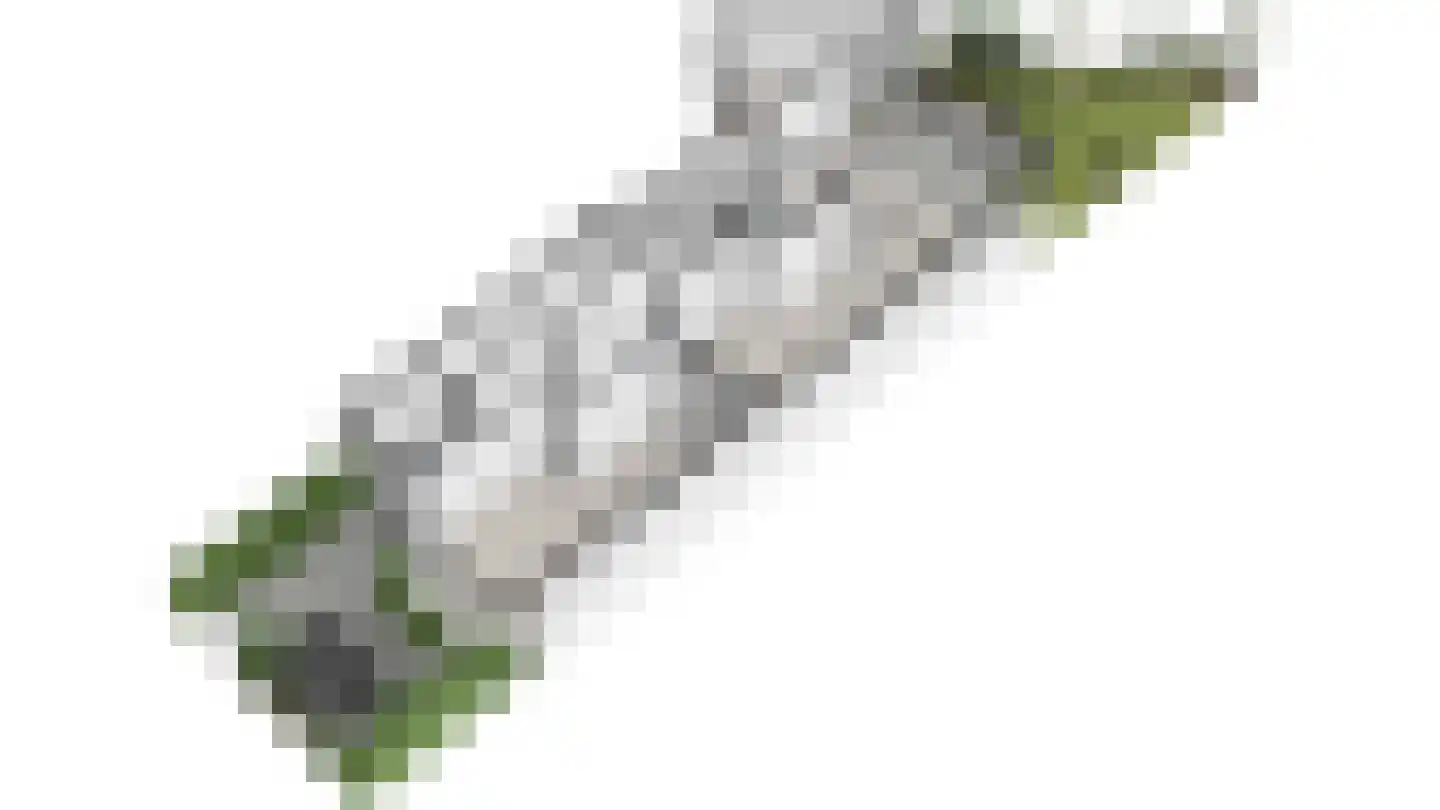 Eiklaan 3 Rijswijk thumbnail 82