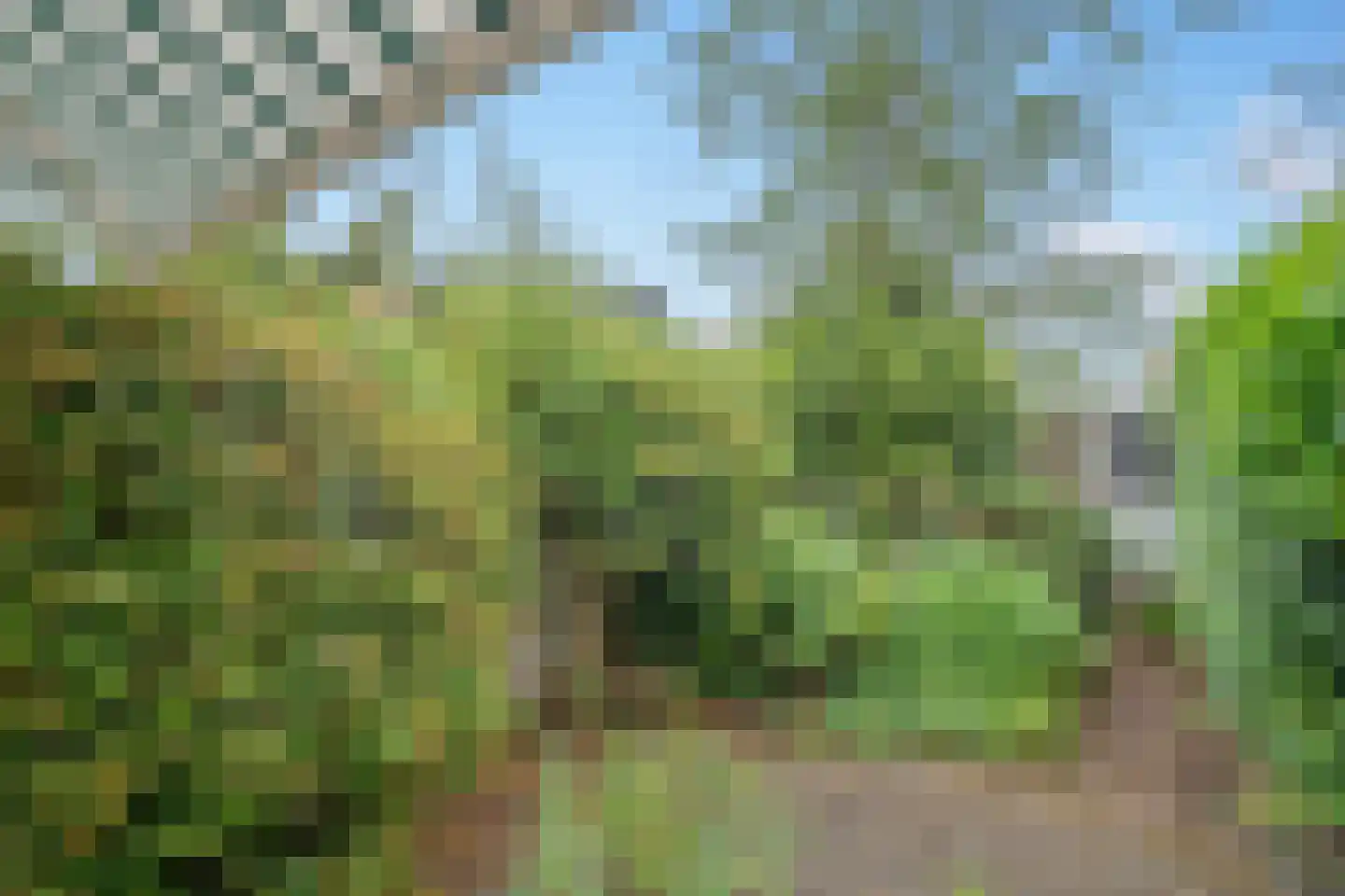 Eiklaan 33 Rijswijk thumbnail 16